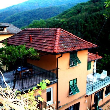 Valbravenna Fontana'S House Relax旅馆 外观 照片